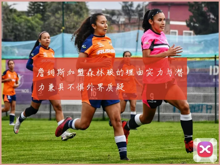 詹姆斯加盟森林狼的理由实力与潜力兼具不惧外界质疑