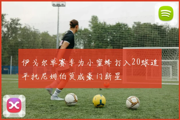 伊戈尔单赛季为小蜜蜂打入20球追平托尼姆伯莫成豪门新星